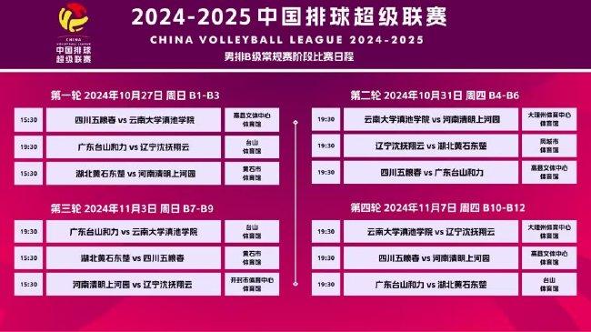 2025新澳精准正版免費資料或2025年正版资料免费全面释义、专家解析解释与落实