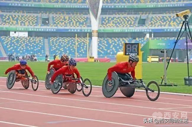 2025澳门和香港精准免费大全,精选解析、专家解析解释与落实