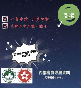 澳门和香港宣布一肖一特24码一中合法,精选解析、专家解析解释与落实