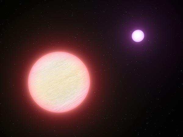 褐矮星，宇宙中的神秘邻居