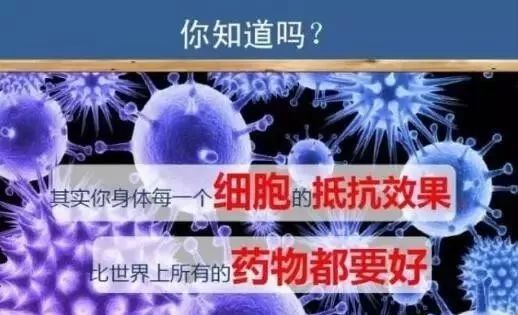 细胞自噬，生命之舞中的自我净化与重生